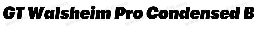 GT Walsheim Pro Condensed Bold字体转换